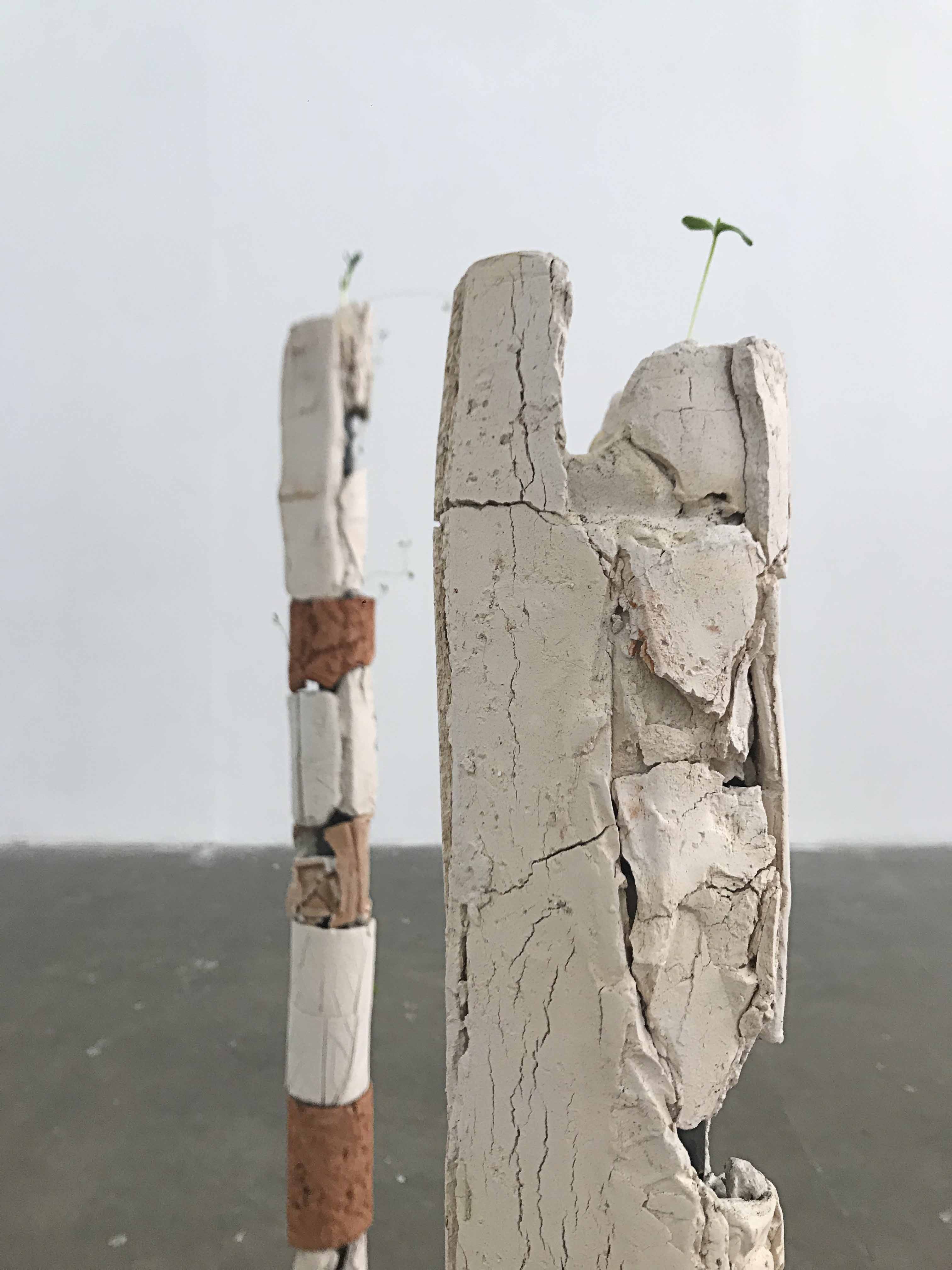 Totems